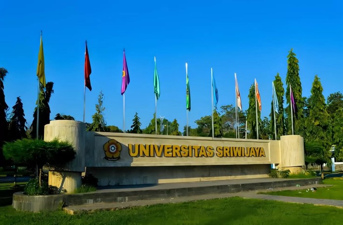 Lampung sriwijaya universitas grafis