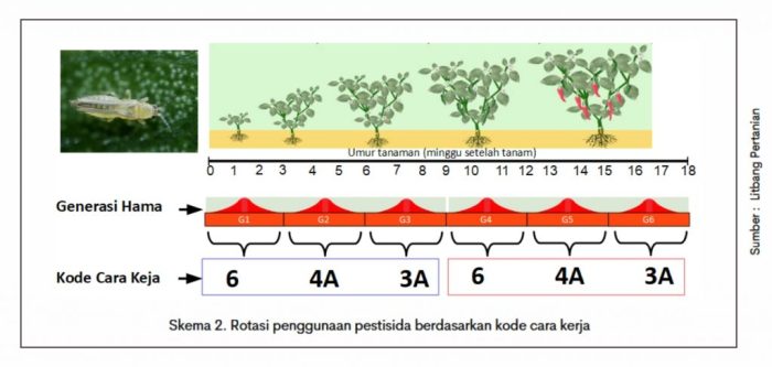 Studi Perbandingan Efektivitas Metode Penanganan Hama pada Tanaman Hortikultura: Penggunaan Pestisida Kimia vs. Metode Organik