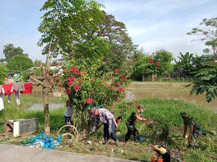 Restorasi Ekosistem Sungai: Studi Kasus Sungai XYZ