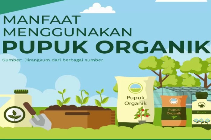 Pengaruh Pemberian Pupuk Organik terhadap Pertumbuhan Tanaman Sayuran