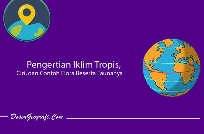 Peran Faktor Lingkungan dalam Pertumbuhan dan Adaptasi Tanaman di Daerah Tropis