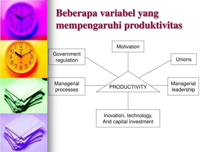 Analisis Faktor-Faktor yang Mempengaruhi Produktivitas Tanaman Padi