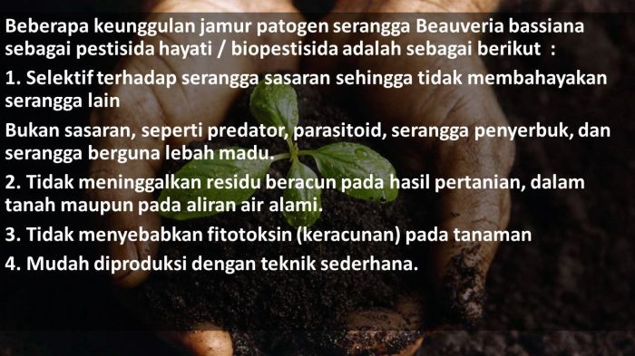 Pengaruh Kehadiran Serangga Penyerbuk terhadap Hasil dan Kualitas Buah-Buahan