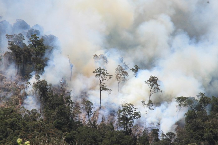 Studi Pengaruh Perubahan Iklim terhadap Periode Kebakaran Hutan