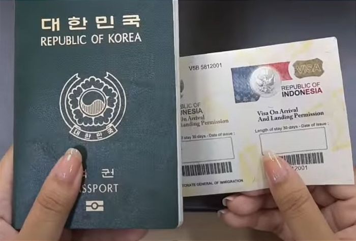 Cara Membuat Visa Korea Selatan 2024, Kini Ada Layanan Express!