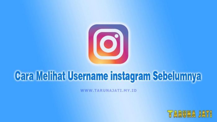 Cara Unfollow IG Sekaligus dengan Mudah