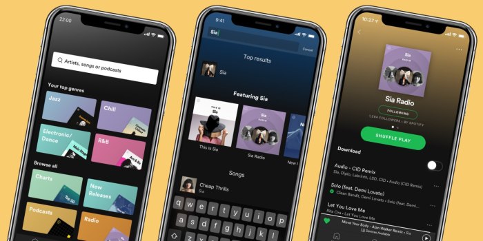 Cara Install Spotify Mod di iPhone Tanpa App Store