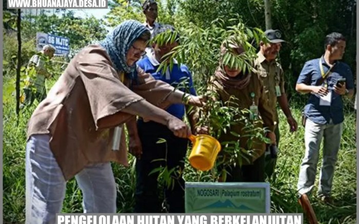 Evaluasi Keberlanjutan Pengelolaan Hutan Produksi di Wilayah XYZ