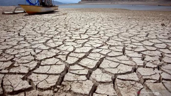 Kebijakan Pengelolaan Lahan Gambut untuk Mitigasi Perubahan Iklim