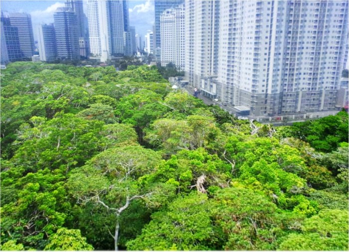 Peran Hutan Kota dalam Menyediakan Ruang Terbuka Hijau dan Mengurangi Polusi Udara