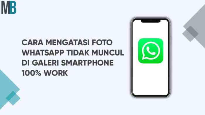 Cara Mengatasi Foto Dari Whatsapp Tidak Muncul Di Galeri