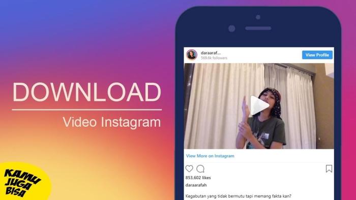 Cara Download Video Instagram Online Offline Tanpa Aplikasi