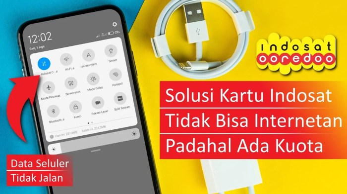 3+ Cara Mengatasi Paket Data Tidak Bisa Digunakan