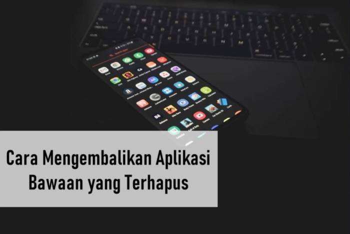 Cara Mengembalikan Aplikasi Bawaan Android Hilang Crash Terhapus