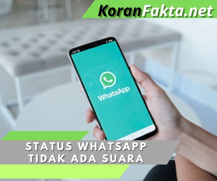 Cara Mengatasi Status WhatsApp Tidak Ada Suara