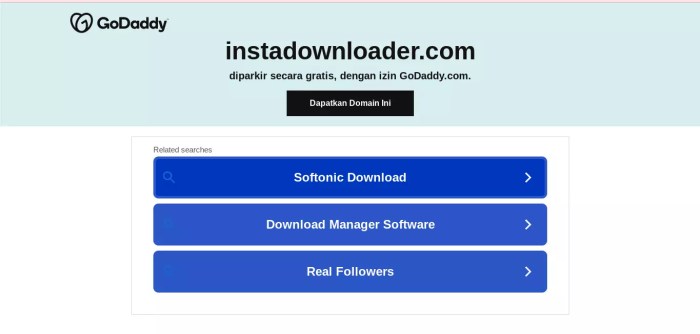 Cara Download Instagram dengan Instadownloader