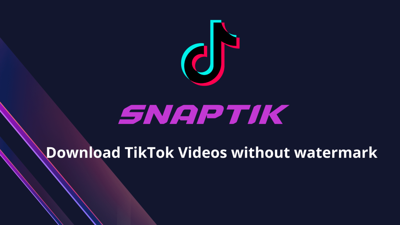 Snaptik Aplikasi Download Video TikTok Tanpa Watermark Terbaik 2024