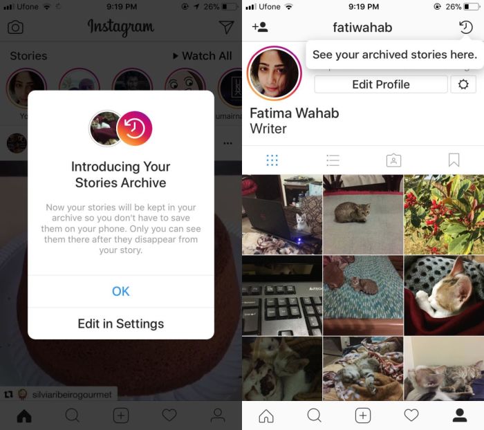 Cara Mengarsipkan Sorotan Instagram