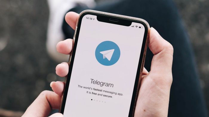 Turun dari Jet Pribadi, CEO Telegram Ditangkap di Bandara Perancis - Akurat