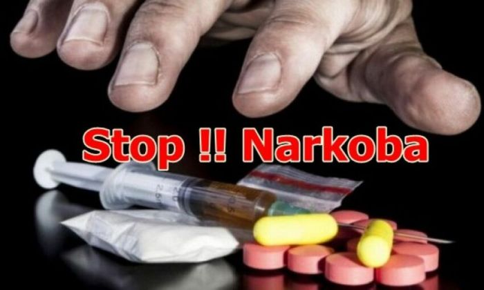 Analisis Dampak Pendidikan Anti Narkoba terhadap Perilaku Penyalahgunaan Narkoba pada Remaja