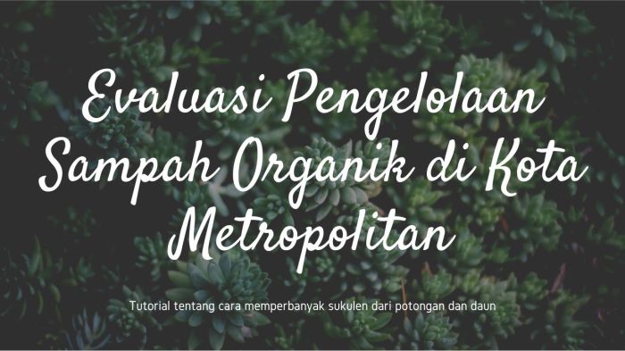 Evaluasi Pengelolaan Sampah Organik di Kota Metropolitan