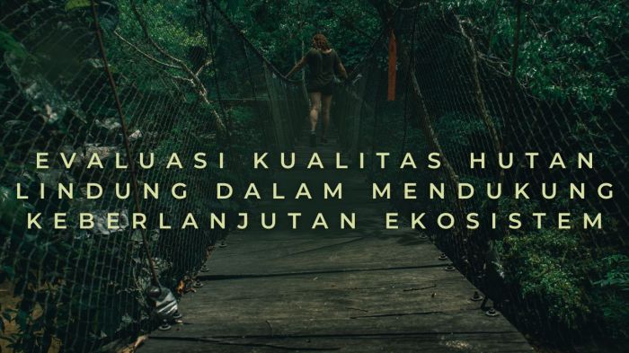 Evaluasi Keberlanjutan Program Hutan Kota dalam Pengembangan Perkotaan