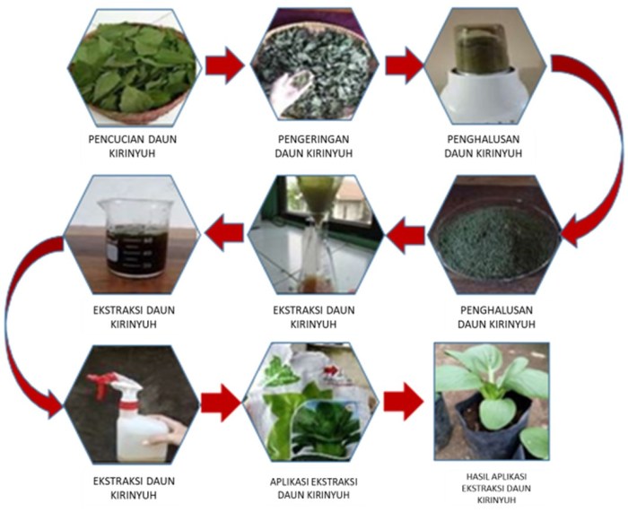 Studi Perbandingan Efektivitas Metode Pengendalian Nyeri: Penggunaan Obat Analgesik vs. Terapi Alternatif