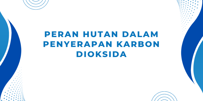 Peran Hutan dalam Penyerapan Karbon dioksida