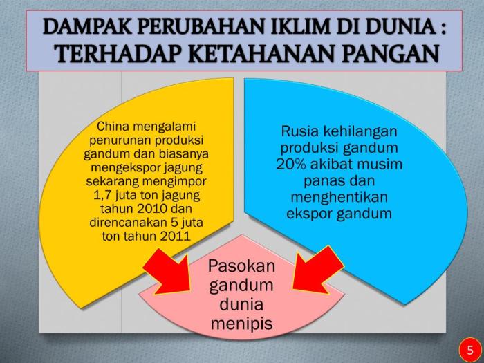 Analisis Dampak Perubahan Iklim terhadap Distribusi dan Produktivitas Tanaman Pangan