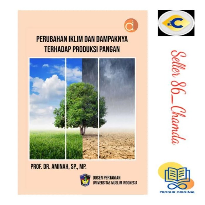 Analisis Dampak Perubahan Iklim terhadap Distribusi dan Produktivitas Tanaman Pangan