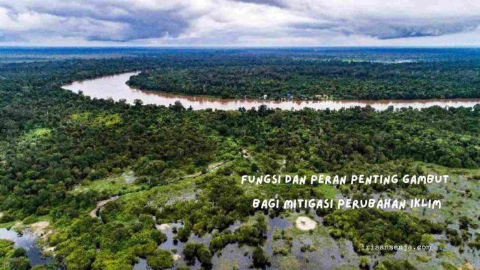 Kebijakan Pengelolaan Lahan Gambut untuk Mitigasi Perubahan Iklim