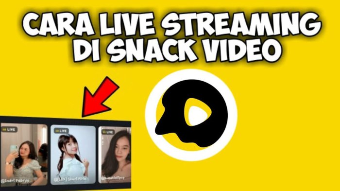 Berapa Jumlah Followers yang Dibutuhkan untuk Bisa Live di Snack