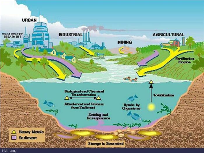 Studi Pengaruh Pencemaran Logam Berat terhadap Kesehatan Perairan dan Ikan