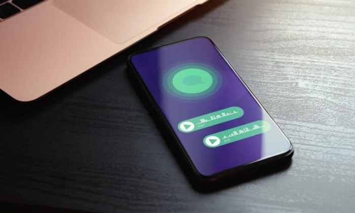 Penyebab WhatsApp Terlihat Online Terus