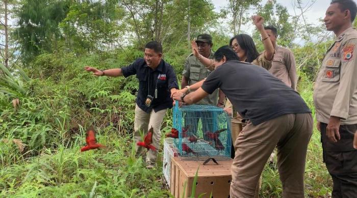 Analisis Dampak Pembangunan Infrastruktur terhadap Habitat Satwa Liar