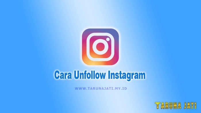 Cara Unfollow IG Sekaligus dan Secara Manual