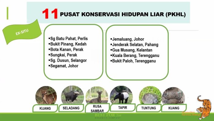 Analisis Pengelolaan Taman Nasional sebagai Pusat Konservasi