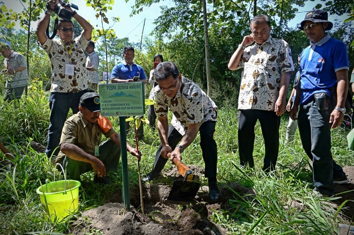 Evaluasi Keberlanjutan Program Hutan Kota dalam Pengembangan Perkotaan