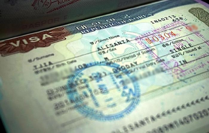 Memilih Jenis Visa Korea yang Tepat. Butuh Cepat? Ada Express Visa!