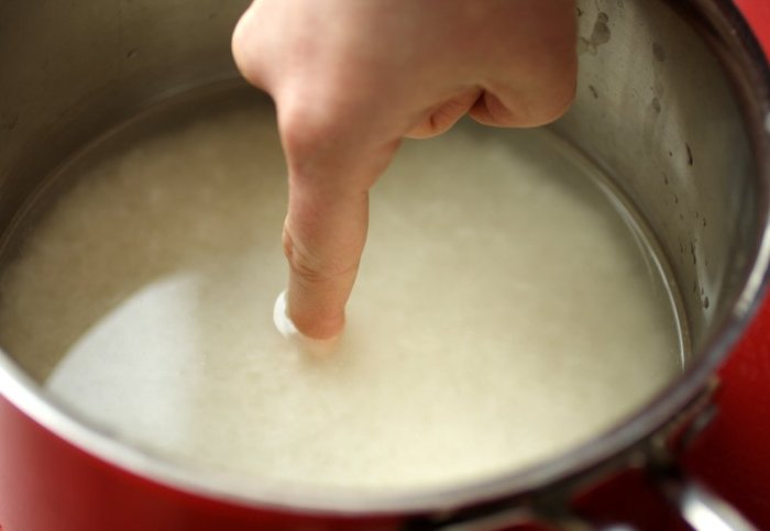 Cara Memasak Nasi di Rice Cooker Digital