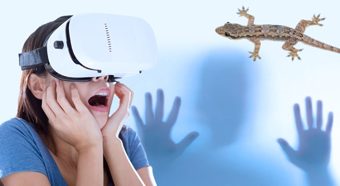 Pemodelan Lingkungan Virtual Reality (VRE) Sebagai Alat Bantu Exposure Therapy untuk Claustrophobia