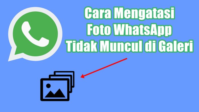 Cara Mengatasi Foto Dari Whatsapp Tidak Muncul Di Galeri