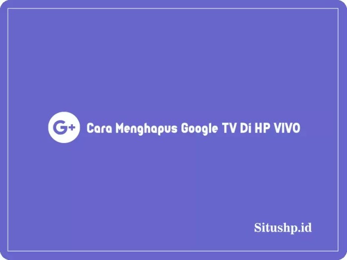 Cara Menghapus Google TV