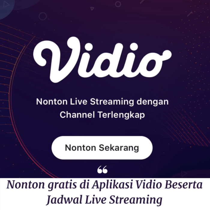 Cara Nonton Gratis Di Aplikasi Vidio Shortmax