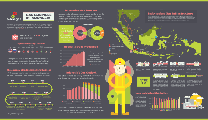 Cara Membuat Infografis yang Menarik