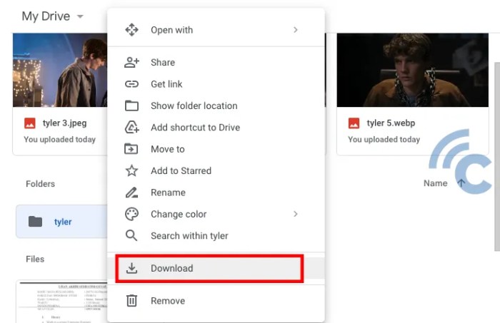 Cara Mendownload Foto Di Google Drive