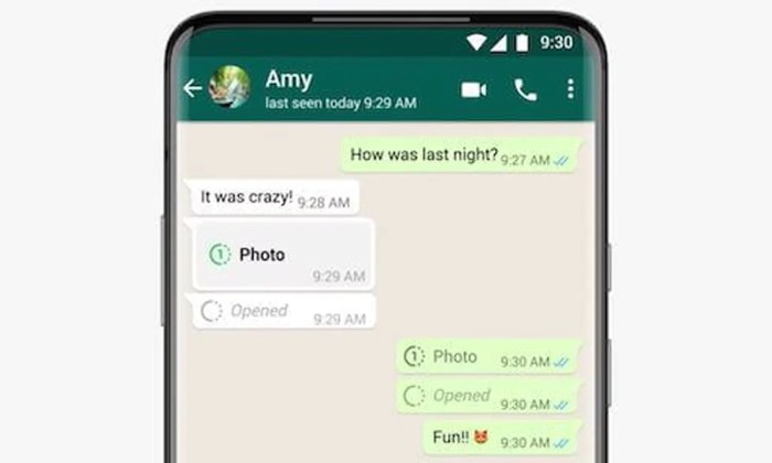 Apakah Foto Sekali Lihat di WhatsApp Bisa Dilihat Lagi, Simak Jawaban Berikut!