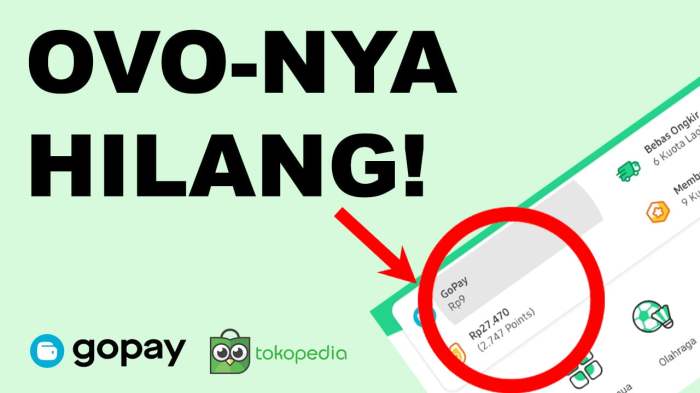 Cara Menghubungkan Gopay Later dengan Tokopedia