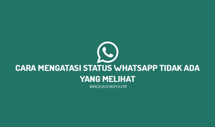 Cara Mengatasi Status WhatsApp Tidak Ada Suara